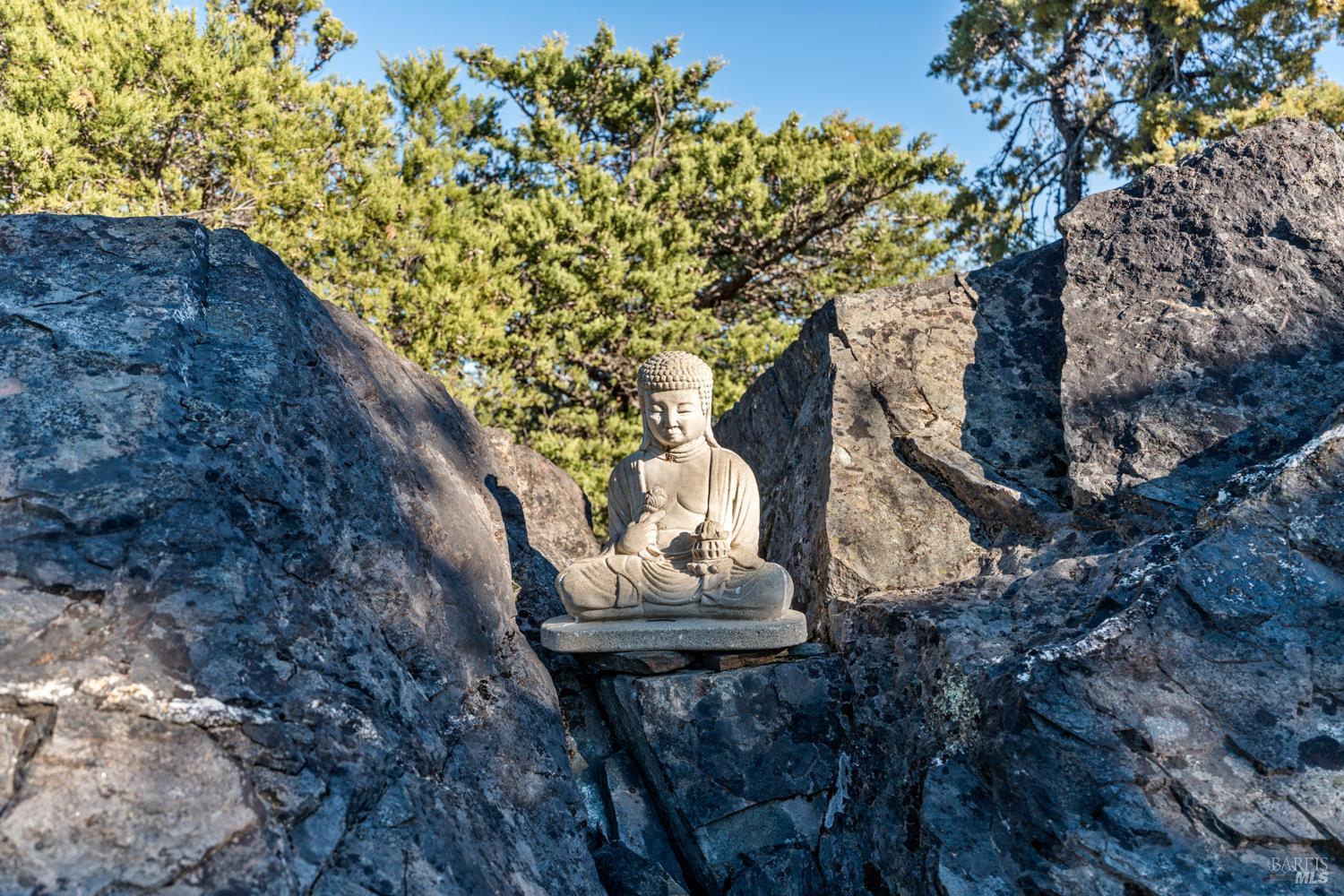 6775 County Road 110 Hopland, CA 95449 - Photo 12 of 53 a backyard of a house with lots of green space