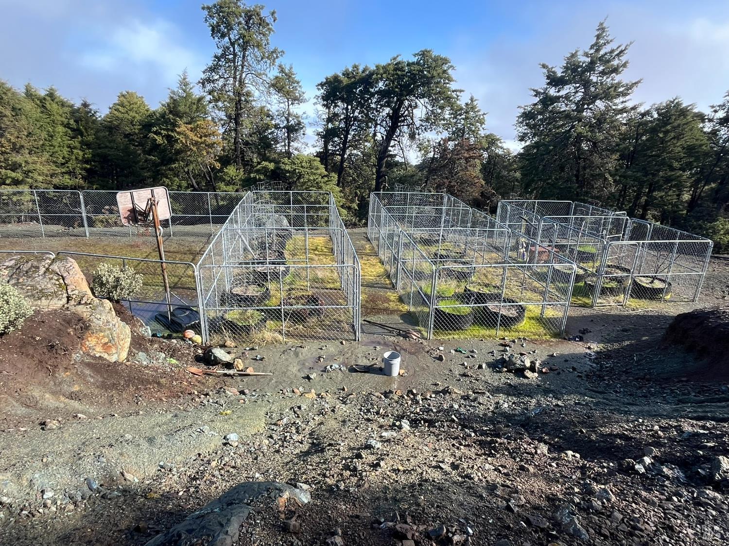 6775 County Road 110 Hopland, CA 95449 - Photo 24 of 53 a view of a park with large trees