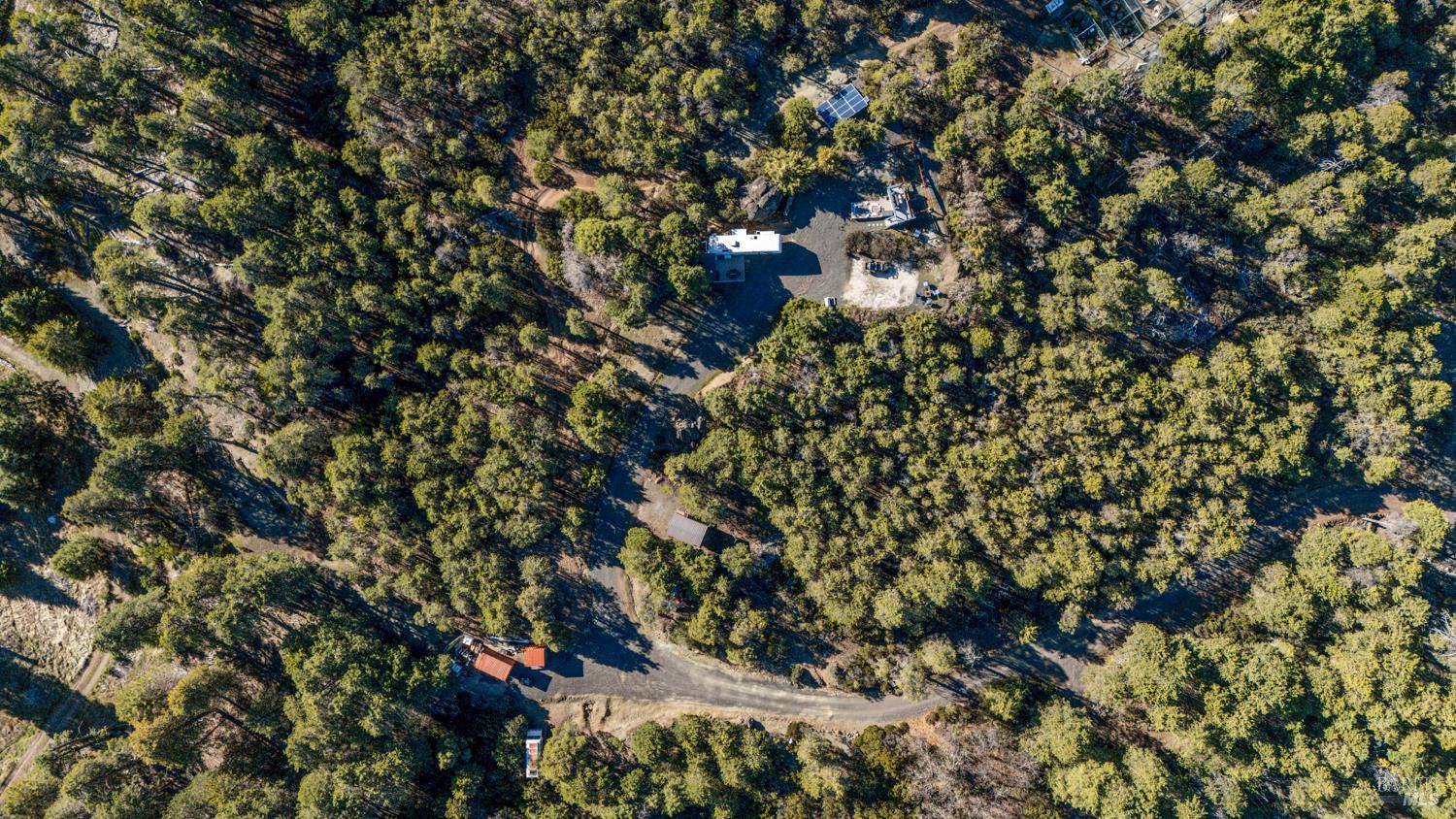 6775 County Road 110 Hopland, CA 95449 - Photo 3 of 53 a picture of tree