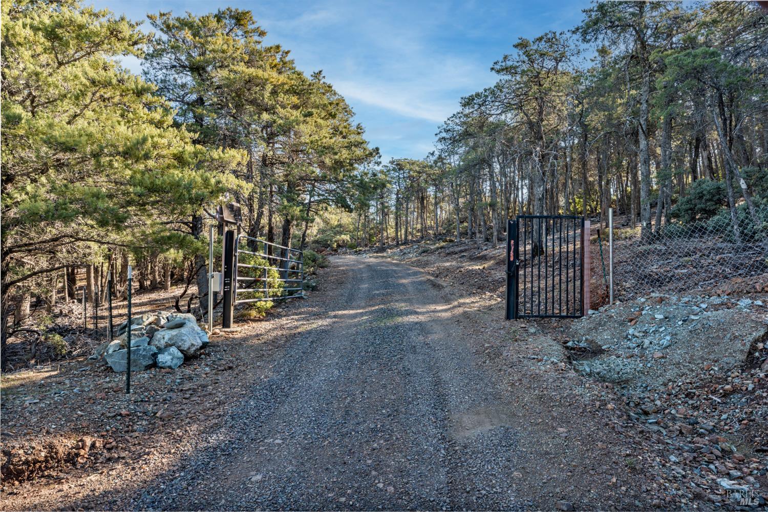6775 County Road 110 Hopland, CA 95449 - Photo 53 of 53 a view of a yard with a tree