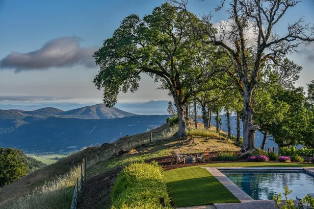 a view of a backyard with table and chairs potted plants and large tree