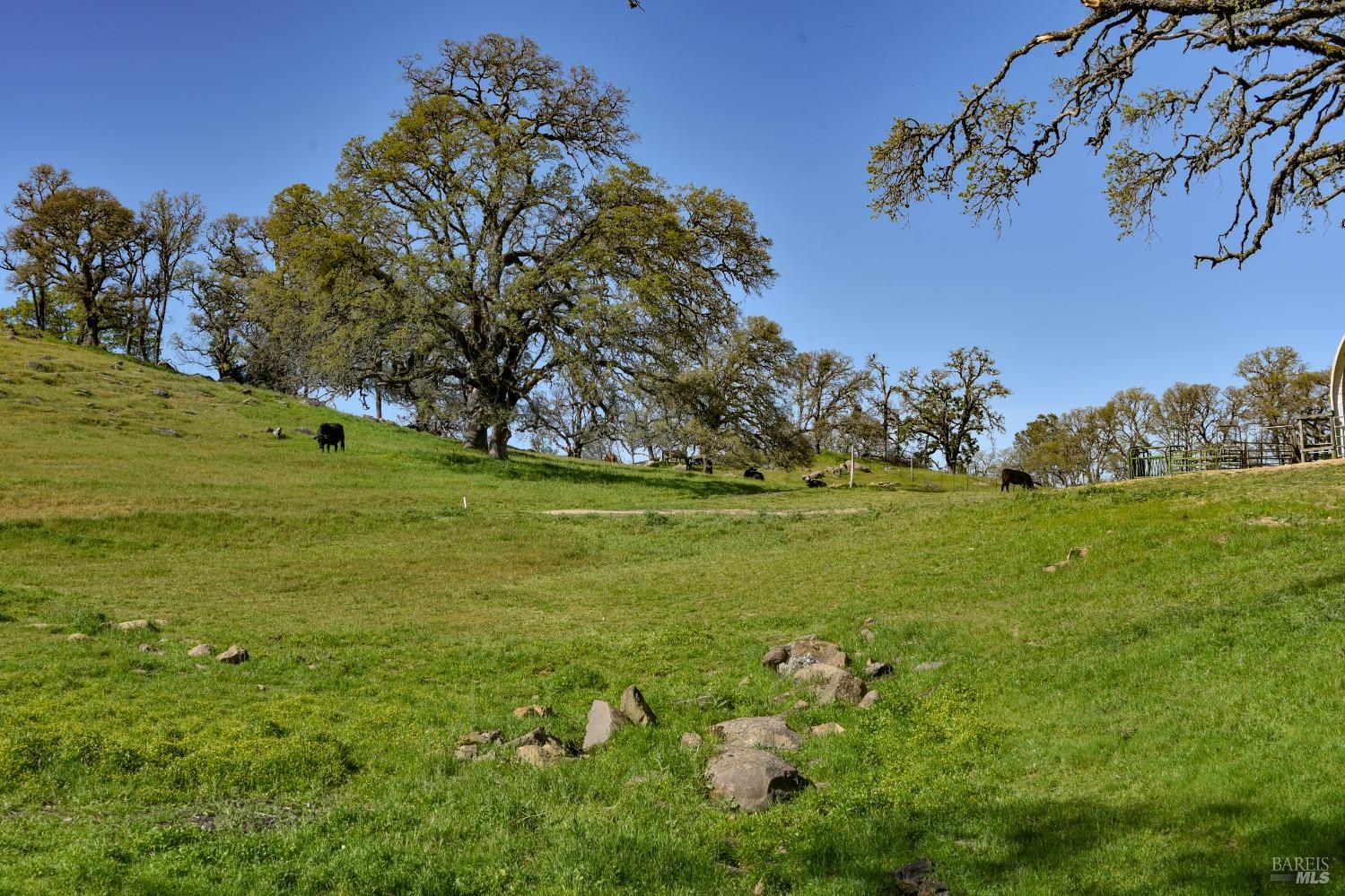 100 Longhorn Ridge Road Napa, CA 94558 - Photo 54 of 68