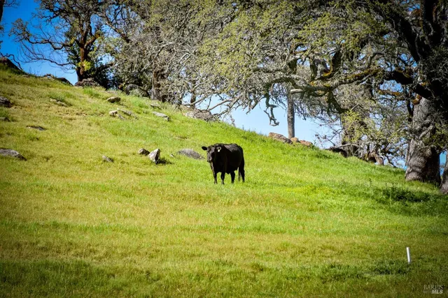 $4,275,000 | 100 Longhorn Ridge Road, Napa, CA 94558