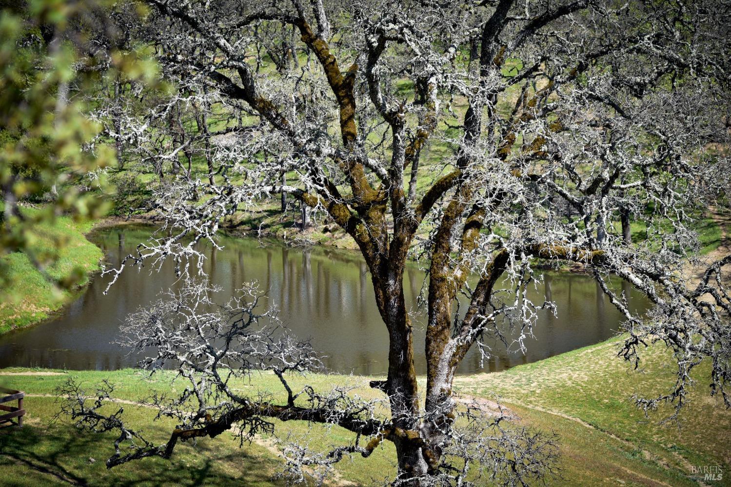 100 Longhorn Ridge Road Napa, CA 94558 - Photo 59 of 68