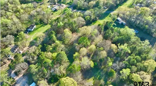a view of a lush green forest with lots of trees