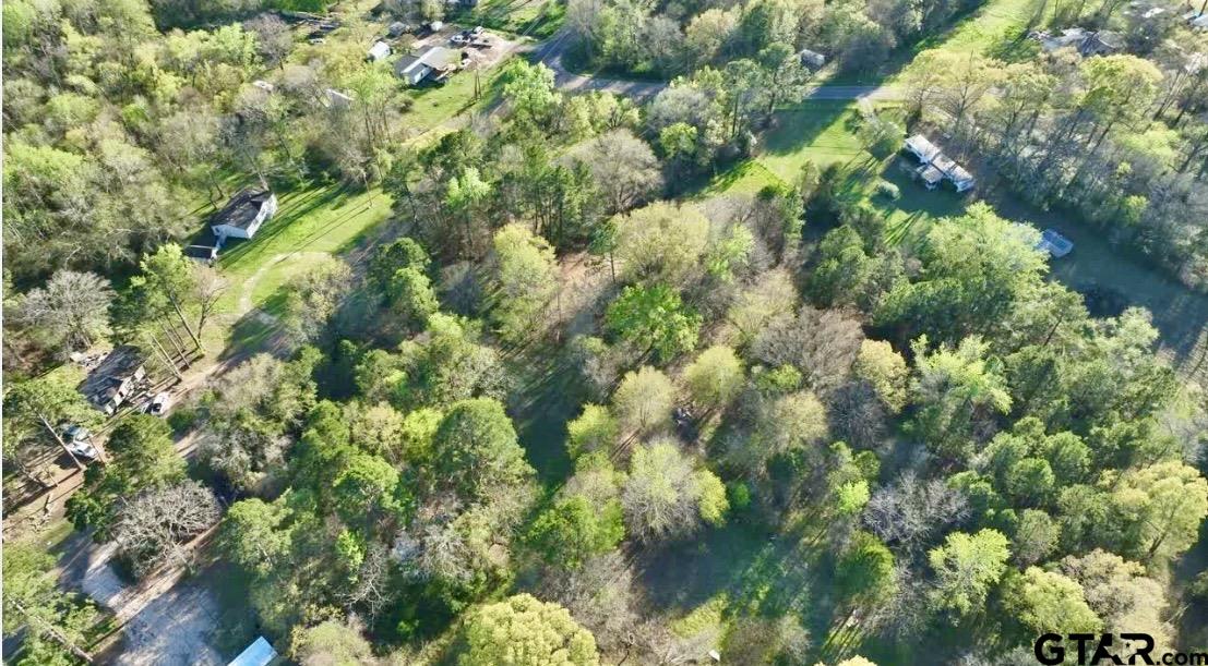 10933 County Road 384 Tyler, TX 75708 - Photo 1 of 8 a view of a lush green forest with lots of trees