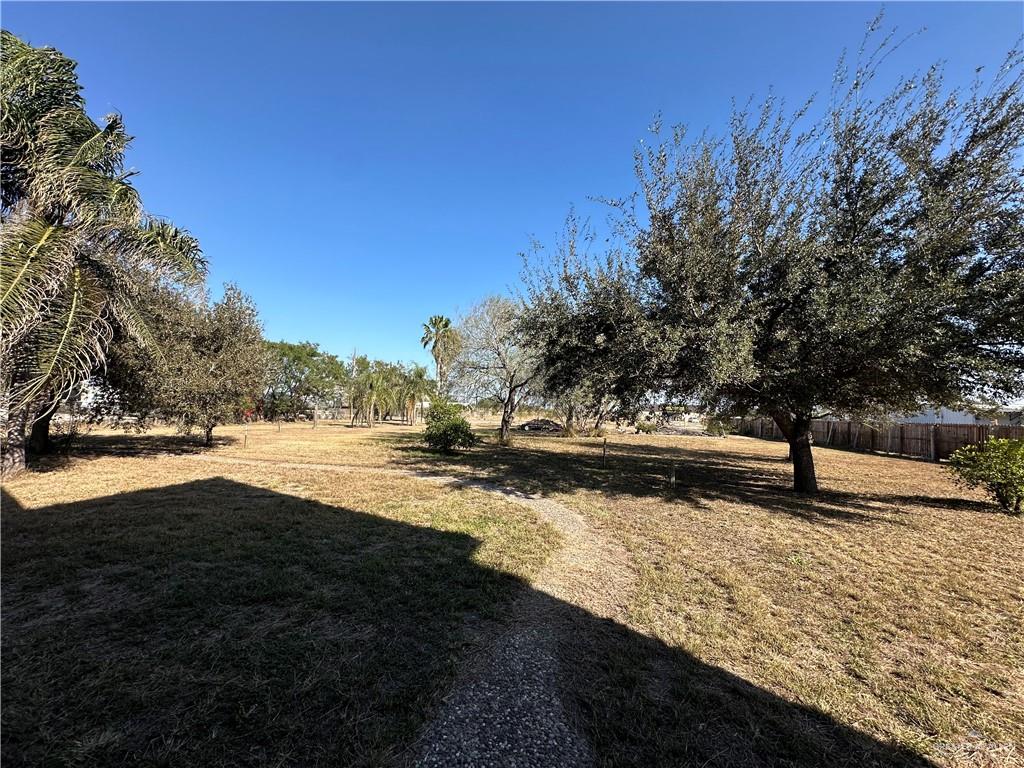1215 South Tower Road Alamo, TX 78516 - Photo 4 of 41 a view of a yard with wooden fence
