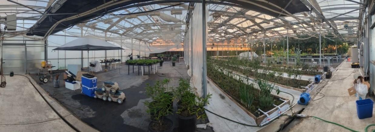 1251 Pleasant Grove Road Rio Oso, CA 95674 - Photo 4 of 8