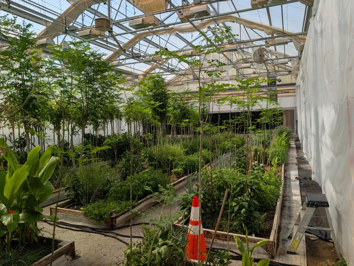 1251 Pleasant Grove Road Rio Oso, CA 95674 - Photo 5 of 8