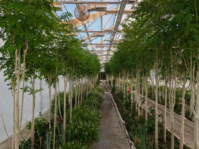 $650,000 | 1251 Pleasant Grove Road, Rio Oso, CA 95674