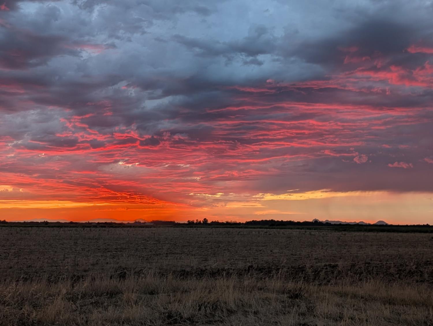 1251 Pleasant Grove Road Rio Oso, CA 95674 - Photo 7 of 8 a view of sunset