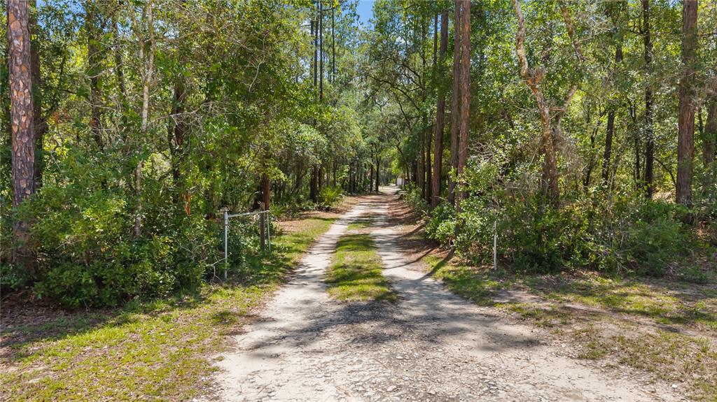106 Arrowhead Point Road Hawthorne, FL 32640 - Photo 11 of 38