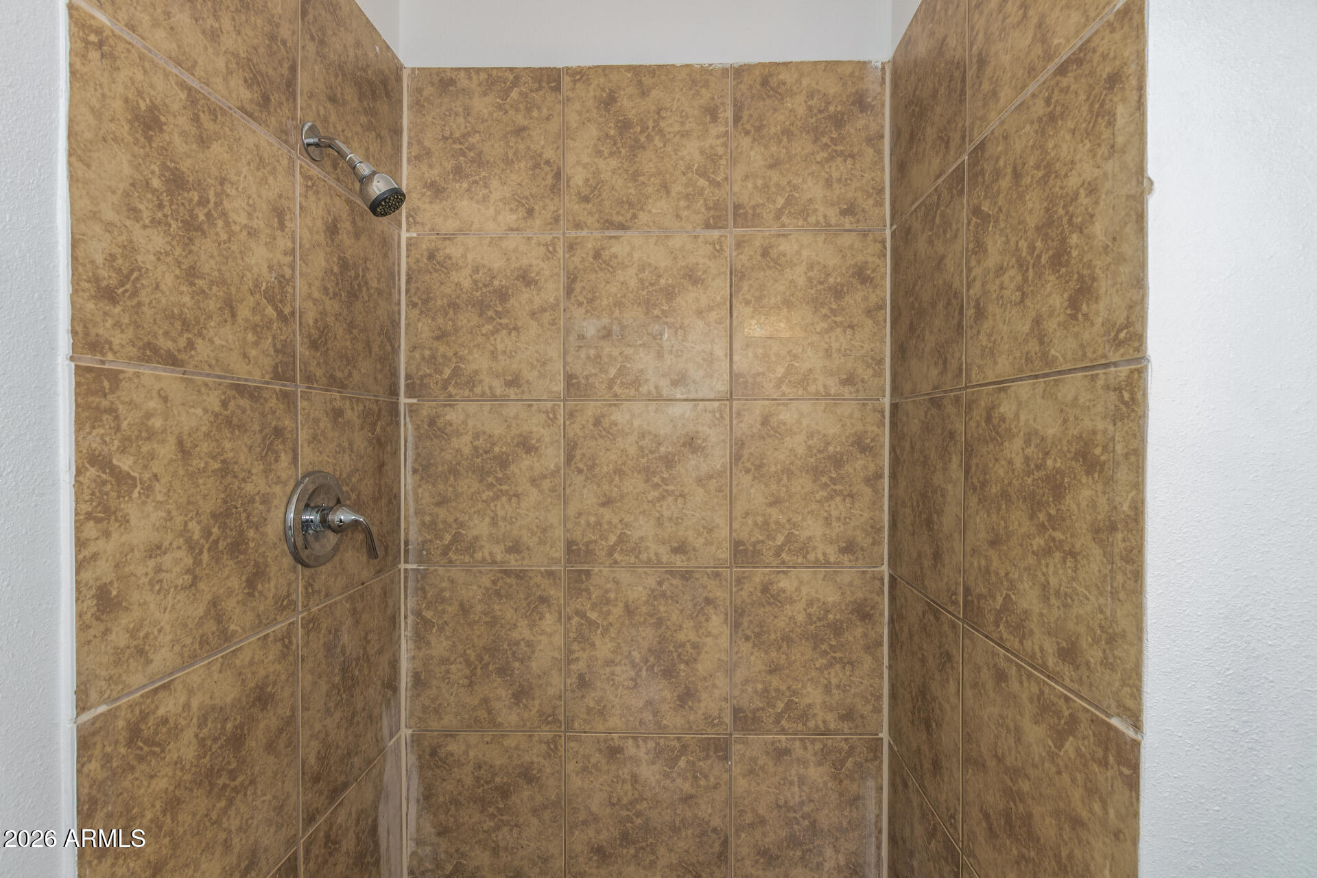 3802 North 79th Avenue Phoenix, AZ 85033 - Photo 16 of 28 a bathroom with a shower