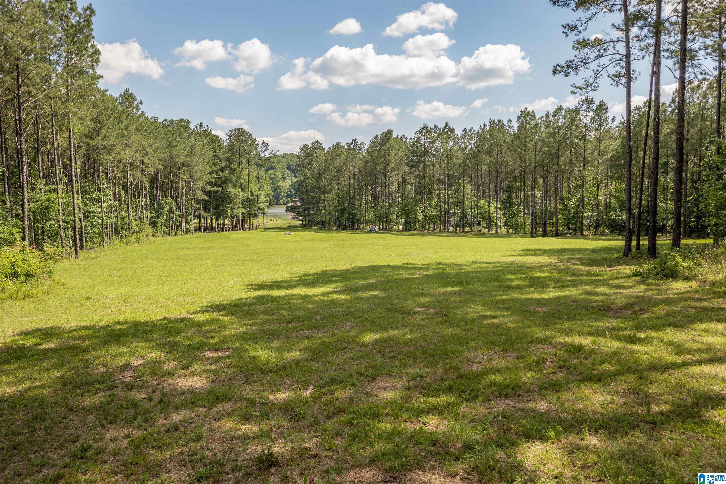 89 Golden Pond Road, Unit 9 Ashville, AL 35953 - Photo 18 of 35