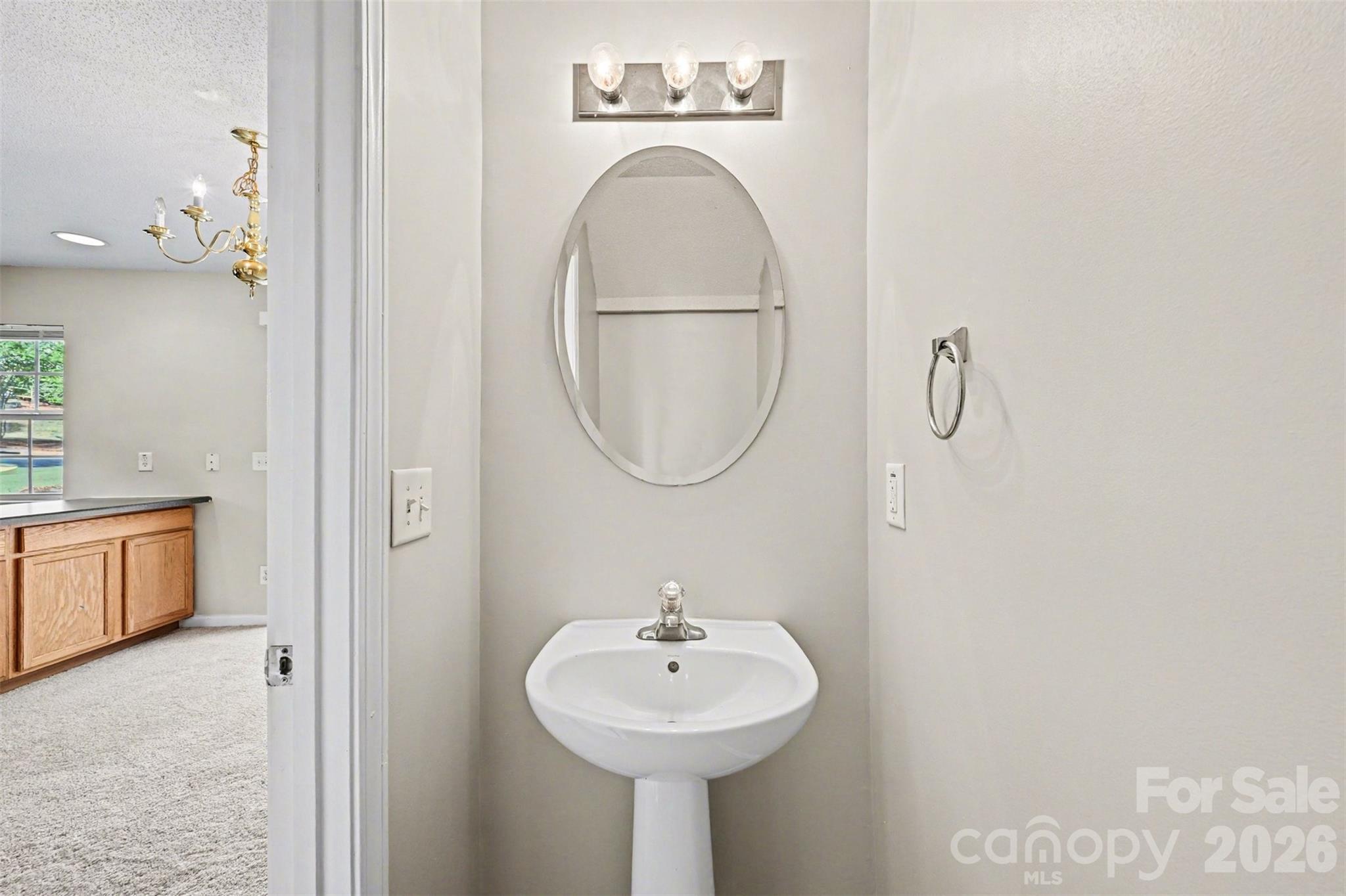 3201 Blythe Ridge Court Charlotte, NC 28213 - Photo 23 of 34 a bathroom with a sink a mirror and a light fixture