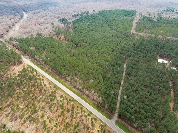 a view of a forest from a balcony