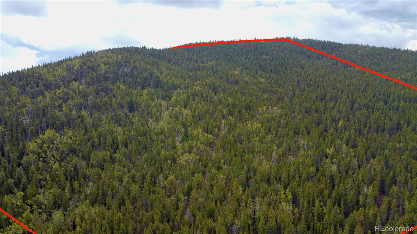 0 Hidden Wilderness Road Evergreen, CO 80439 - Photo 2 of 29