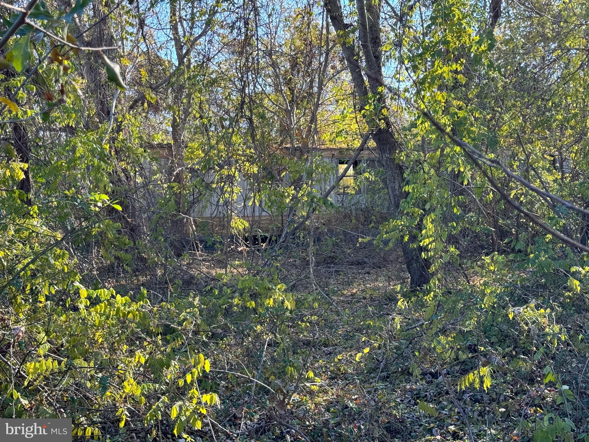 10842 Toddville Road Deal Island, MD 21821 - Photo 1 of 6 Gallery Image 1