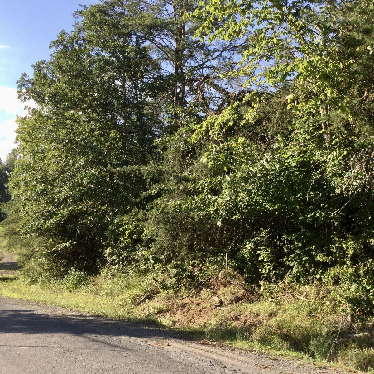 Pine Lk Rd