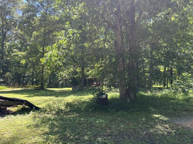 362 Cullen Savage Road Palmer, TN 37365 - Photo 25 of 76 IMG_7163