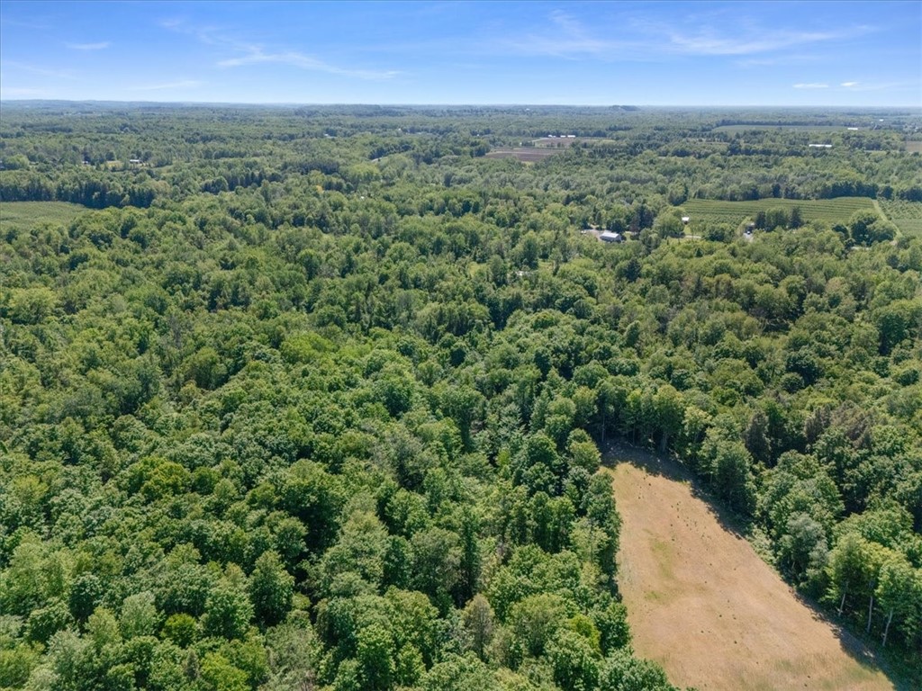 Geneva Road Sodus, NY 14551 - Photo 20 of 34