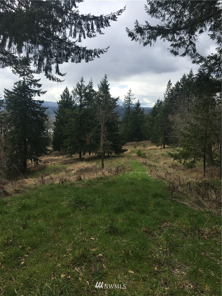 895 Taylor Road Kalama, WA 98625 - Photo 3 of 7 Gallery Image 3