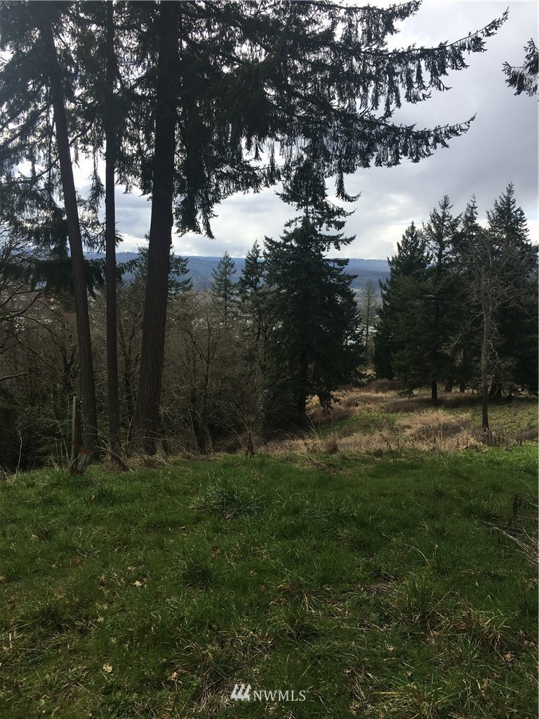 895 Taylor Road Kalama, WA 98625 - Photo 5 of 7 Gallery Image 5