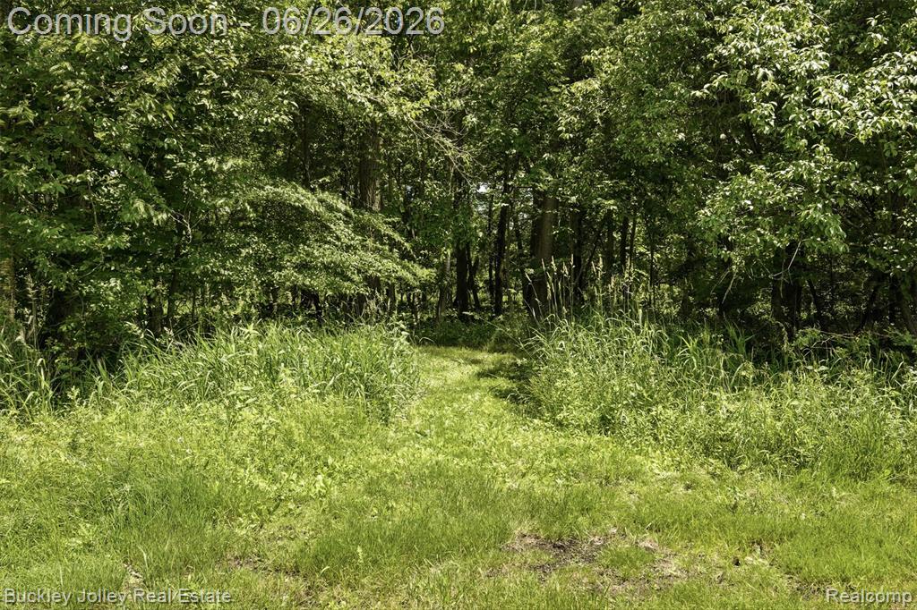 6132 Lange Road Howell, MI 48843 - Photo 43 of 50