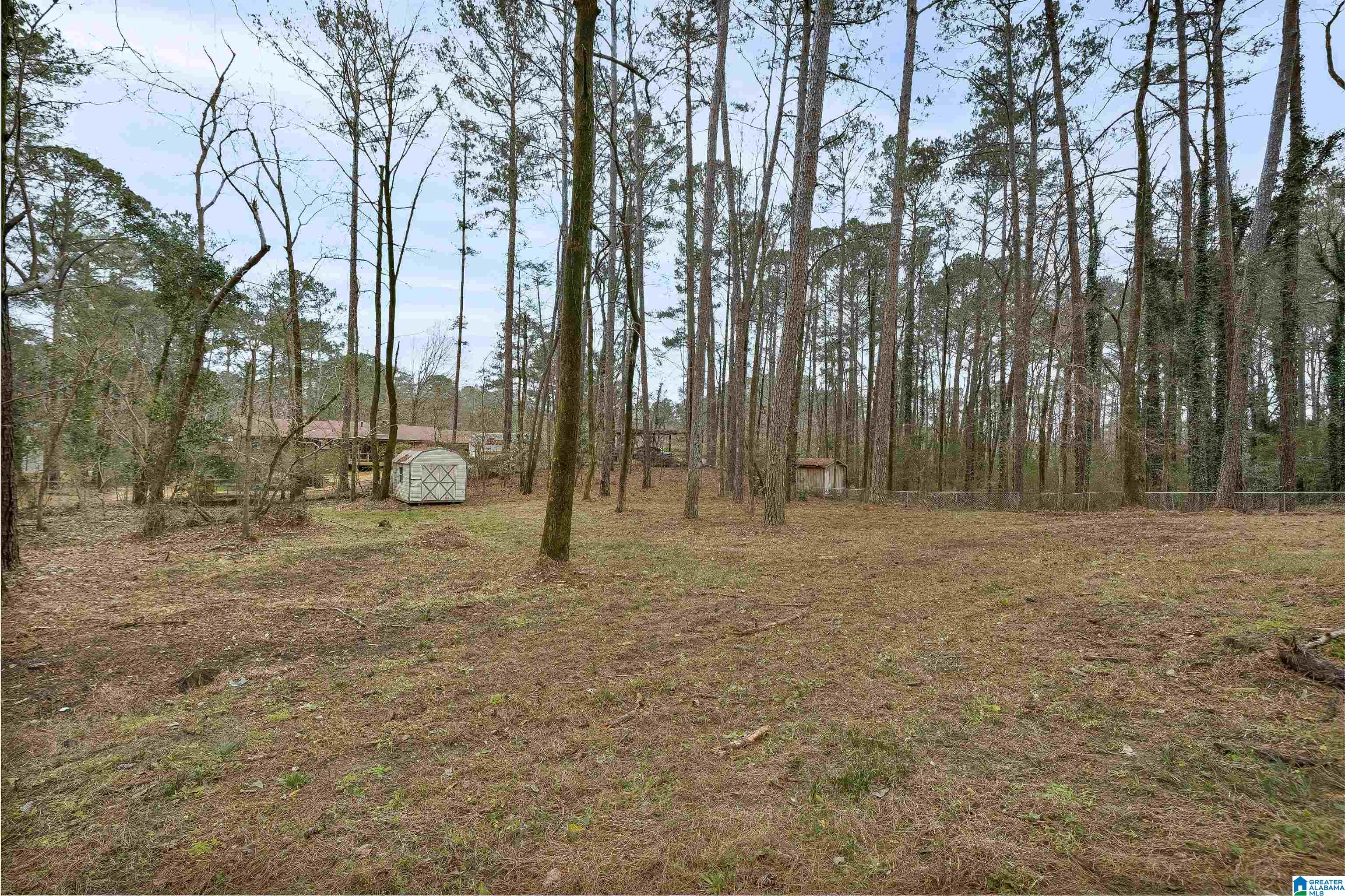 2471 Chuchura Road Birmingham, AL 35244 - Photo 38 of 44