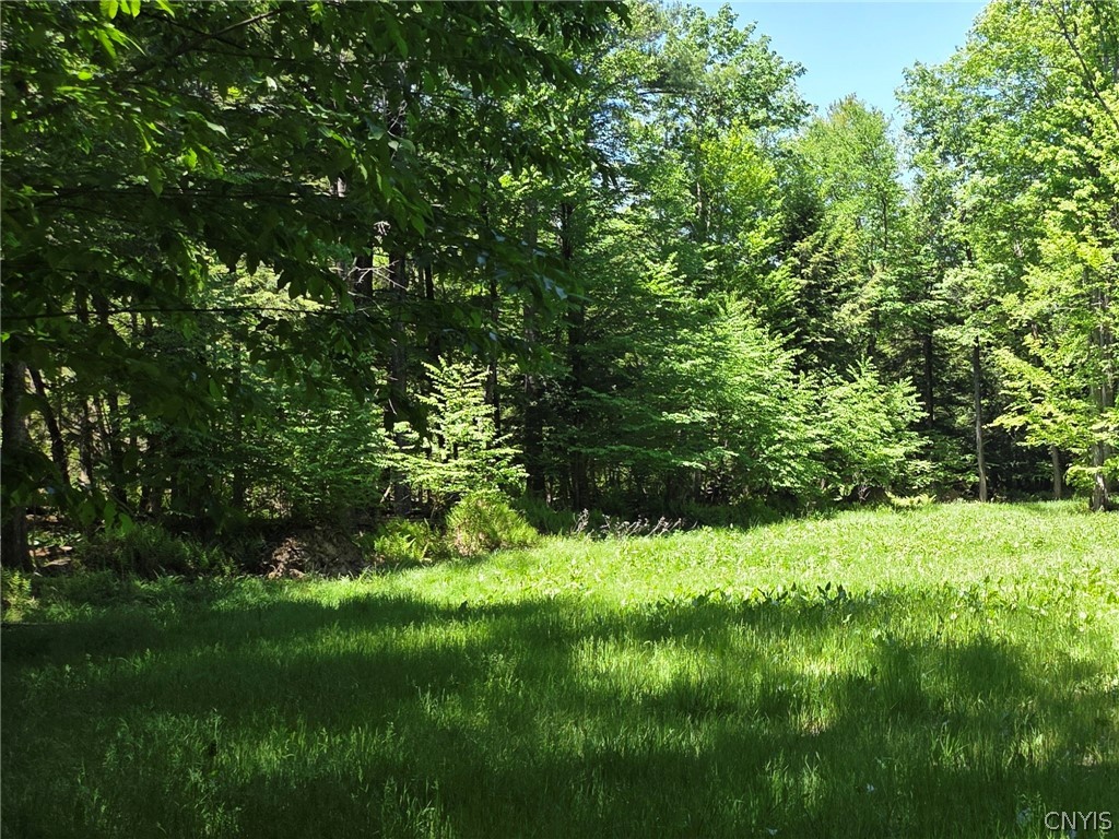 Lillibridge Road Olean, NY 14760 - Photo 26 of 48