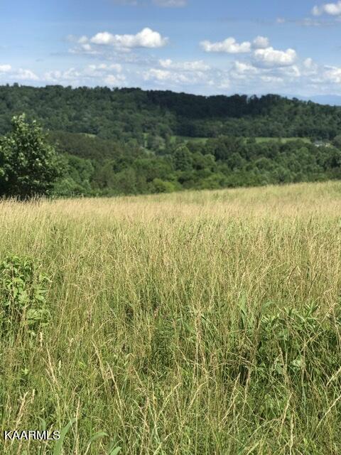 12 R Foshee Road Philadelphia, TN 37846 - Photo 19 of 27 4BA09318-BE32-4F19-BB20-F74EAD2A7397