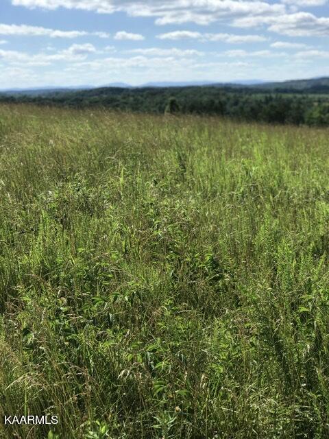 12 R Foshee Road Philadelphia, TN 37846 - Photo 20 of 27 4D90882C-9C9A-4D58-9C0E-A0AD8F1C7A9B