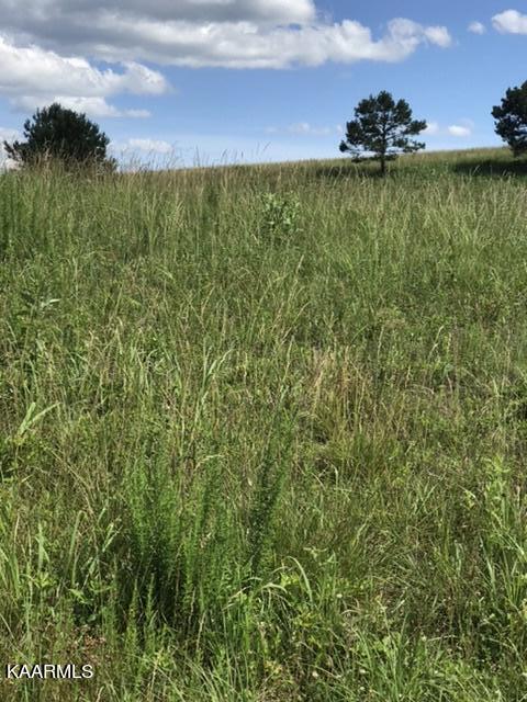 12 R Foshee Road Philadelphia, TN 37846 - Photo 2 of 27 6D3CBA42-46FA-48D5-883D-8C16E480E5F0