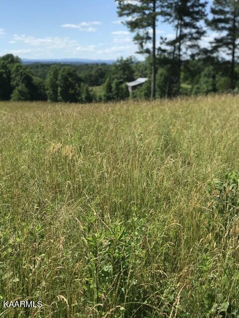 12 R Foshee Road Philadelphia, TN 37846 - Photo 23 of 27 88E8FACF-D216-4855-95A3-A9BBDB8D8944