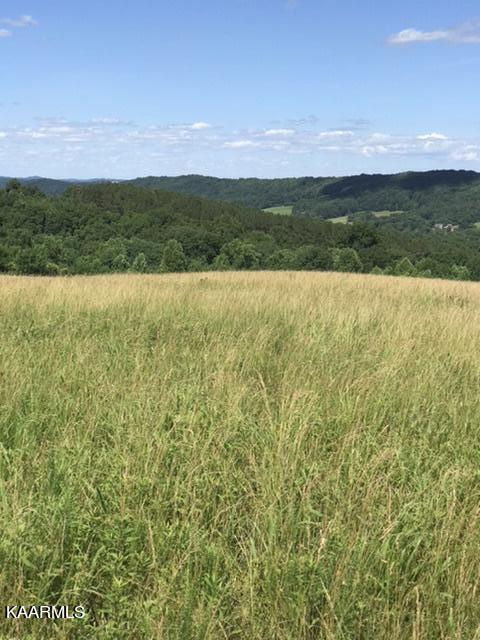 12 R Foshee Road Philadelphia, TN 37846 - Photo 24 of 27 415483B6-2762-4EDA-A96C-C912DAF5F14D