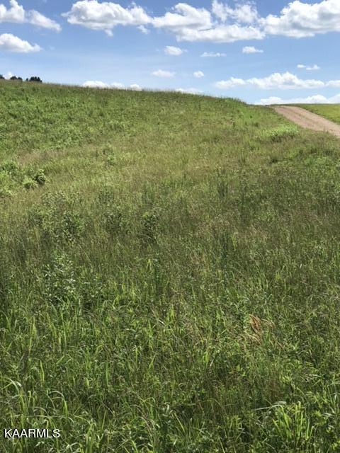 12 R Foshee Road Philadelphia, TN 37846 - Photo 3 of 27 9BAEBF16-1742-4D66-899E-5D3982A2482D