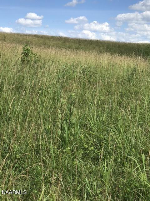 12 R Foshee Road Philadelphia, TN 37846 - Photo 6 of 27 AC68B952-B16B-41AF-99CF-71D1CDDC0245