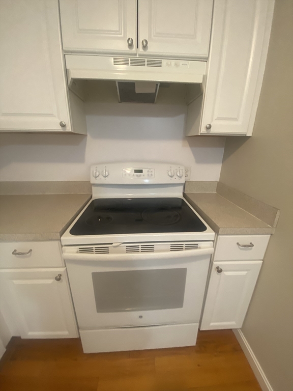 44 Maple Street, Unit 203 Boston, MA 02136 - Photo 3 of 29 Gallery Image 3