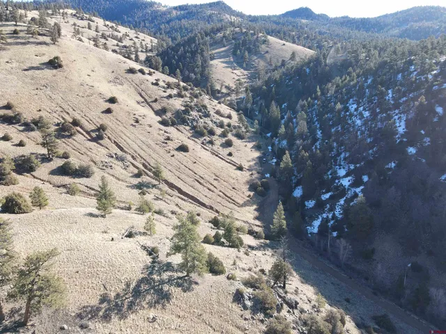 a view of balcony with a tree