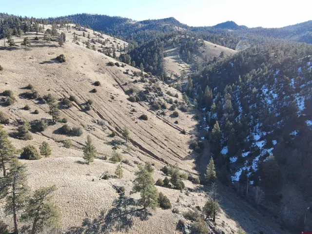 a view of a backyard of the house