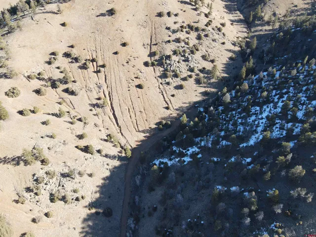 a view of a bunch of trees