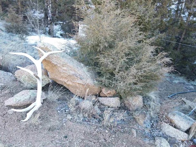 $275,000 | Tbd Tbd County Road, Powderhorn, CO 81243