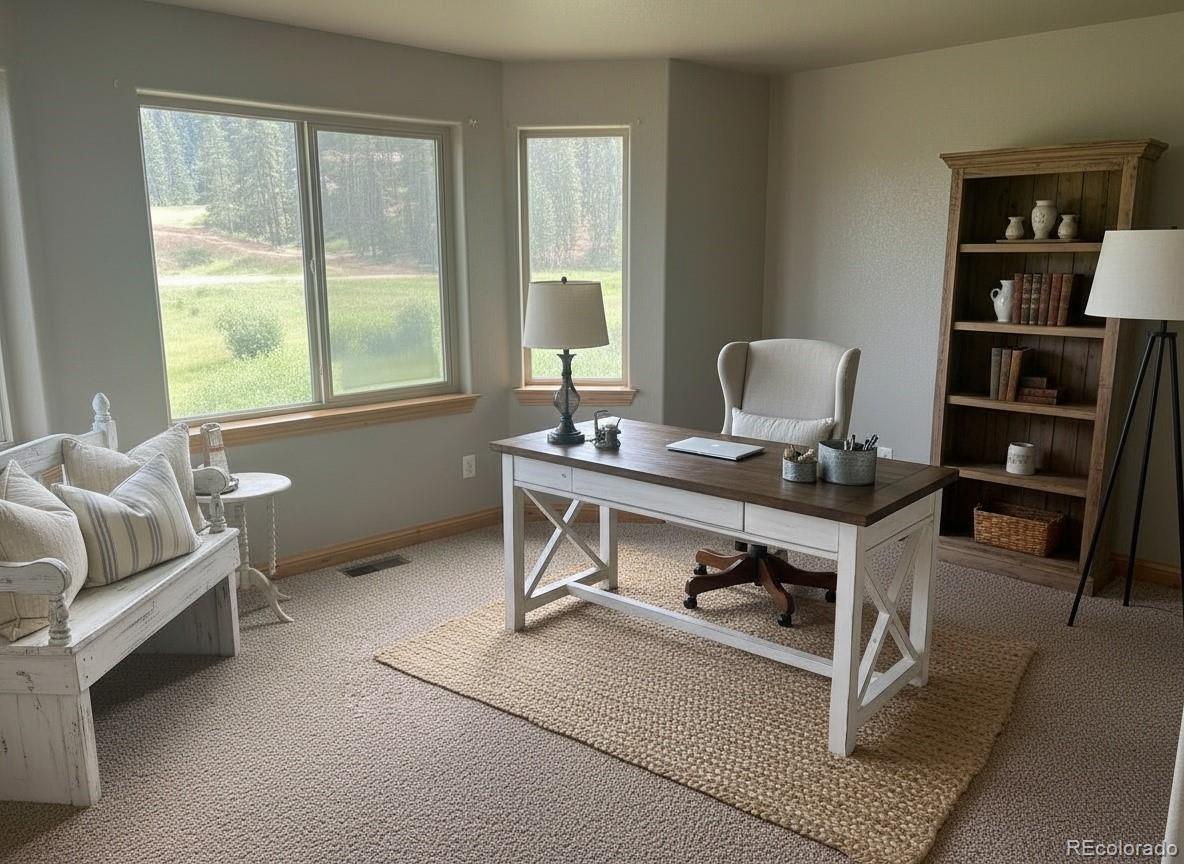 606 North Random Road Bailey, CO 80421 - Photo 16 of 19 Gallery Image 16