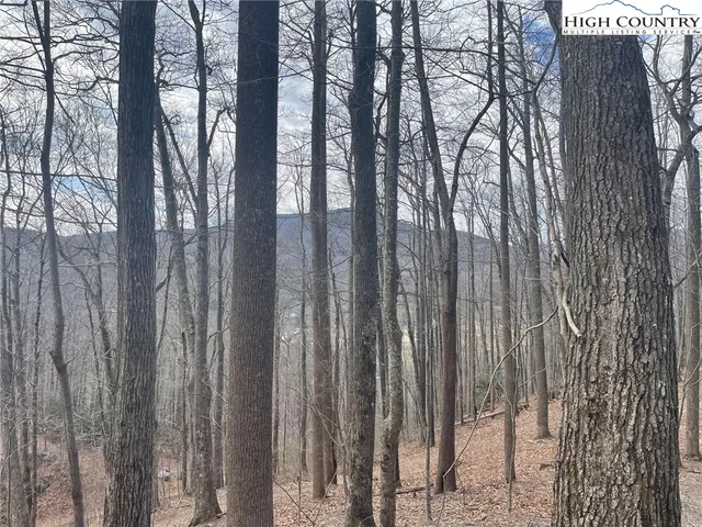 $179,500 | 10 Jackson Ridge Road, Boone, NC 28607