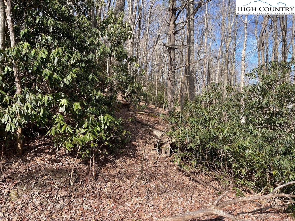 10 Jackson Ridge Road Boone, NC 28607 - Photo 5 of 5