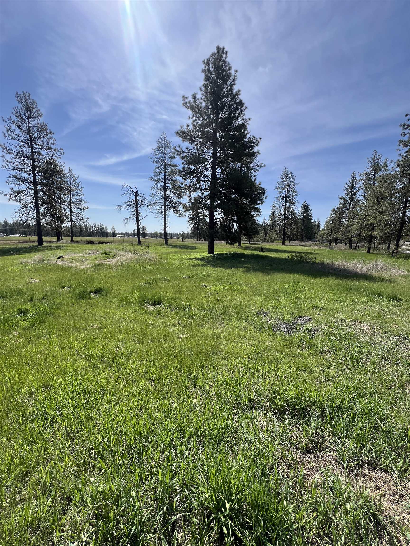 14313 Highway 904 Cheney, WA 99004 - Photo 44 of 49