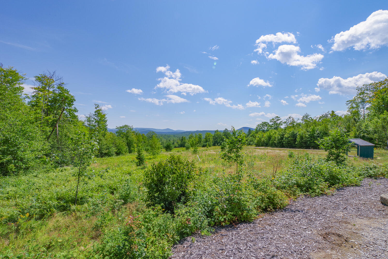 Tbd Daisy Bryant Road Bethel, ME 04217 - Photo 25 of 28 Locke Mtn Rd Bethel 25-(ZF-9778-14346-1-