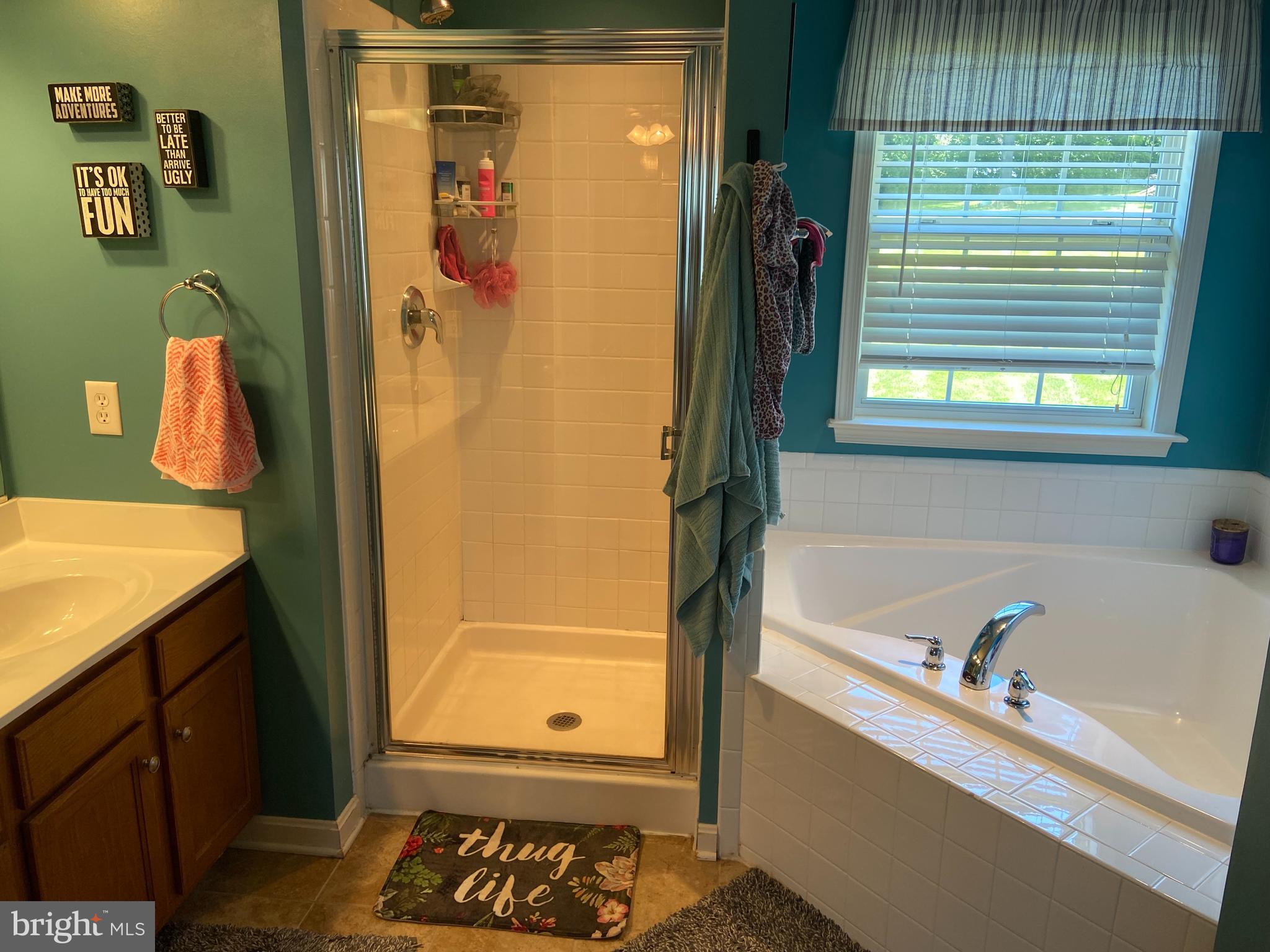 442 Rivanna Run Falling Waters, WV 25419 - Photo 32 of 51