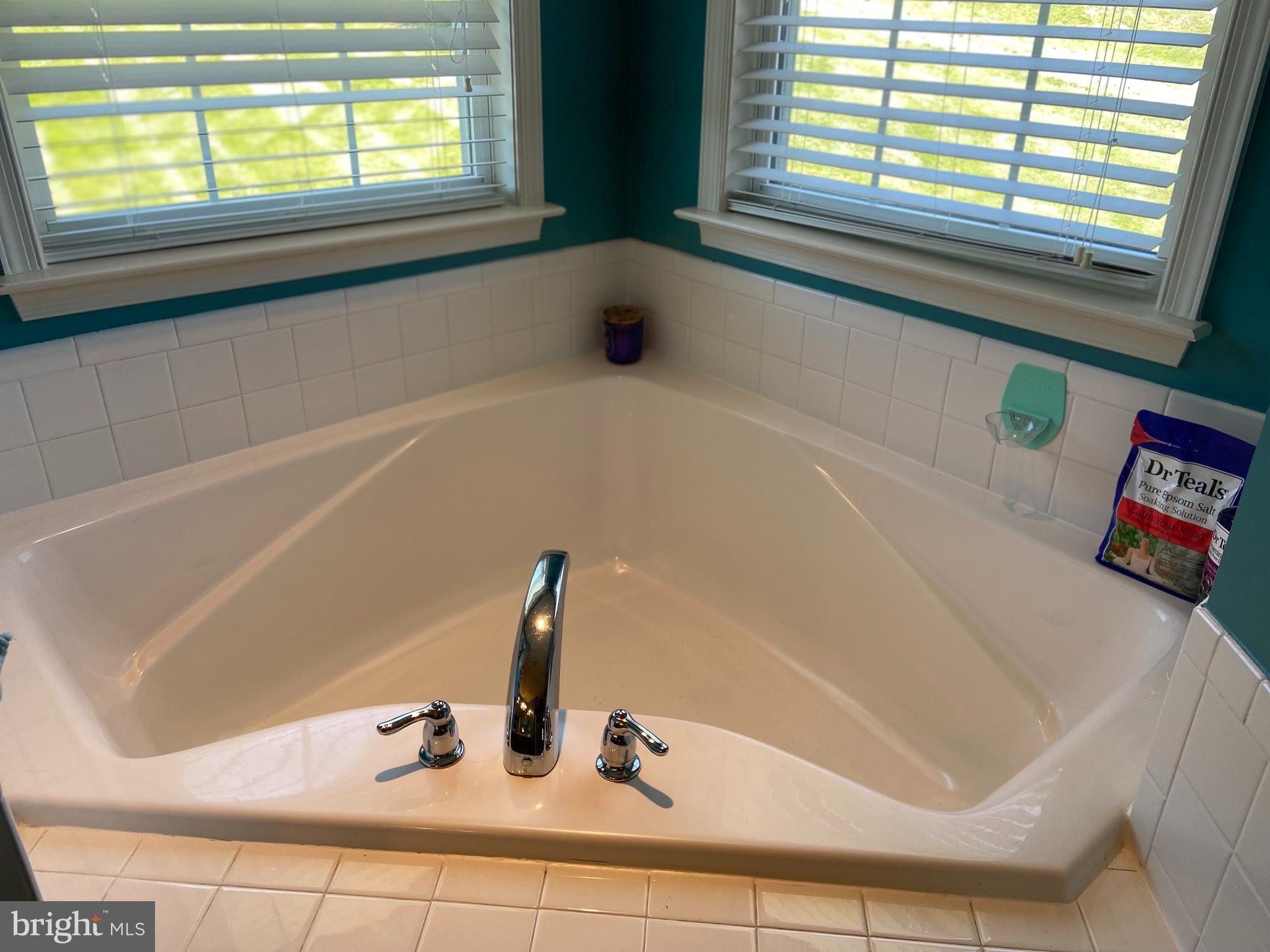 442 Rivanna Run Falling Waters, WV 25419 - Photo 33 of 51