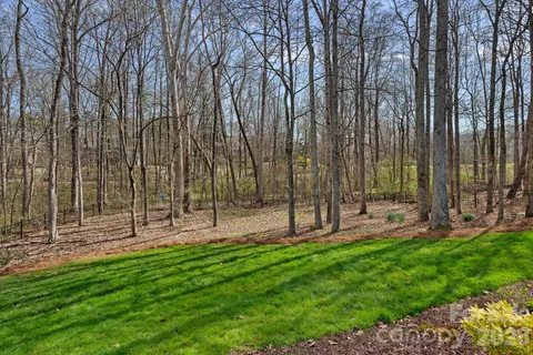 a view of a park with large trees